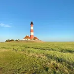 Knutzenswarft - Strandlaeufer Westerhever