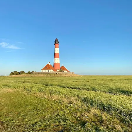 Knutzenswarft - Strandlaeufer Westerhever
