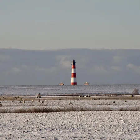 Knutzenswarft - Strandlaeufer Westerhever