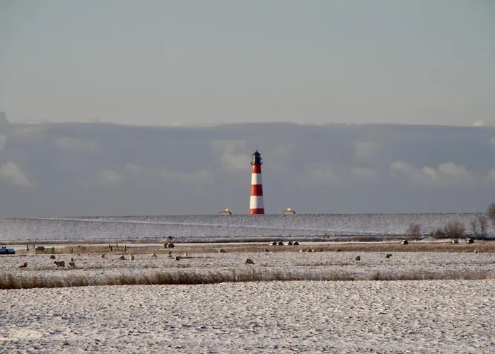 Strandlaeufer * Westerhever